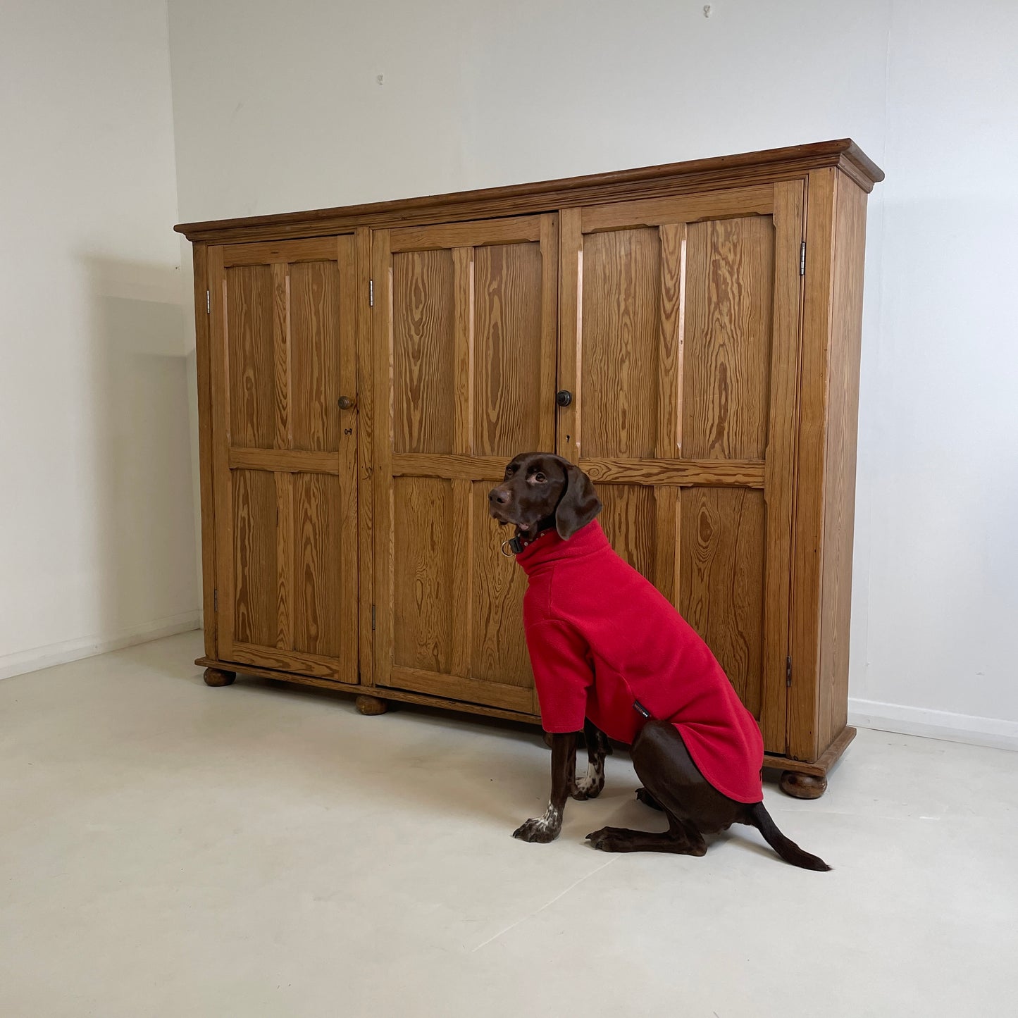 LARGE ANTIQUE PINE THREE DOOR KITCHEN/HALL CABINET
