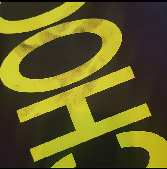 ORIGINAL GLASGOW BRIGHTON HYDE PARK VINTAGE FRAMED BUS BLIND