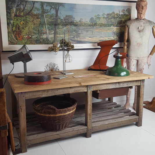 LARGE VINTAGE CLASSROOM WALL HANGING OF THE TROPICAL RAINFOREST CONGO