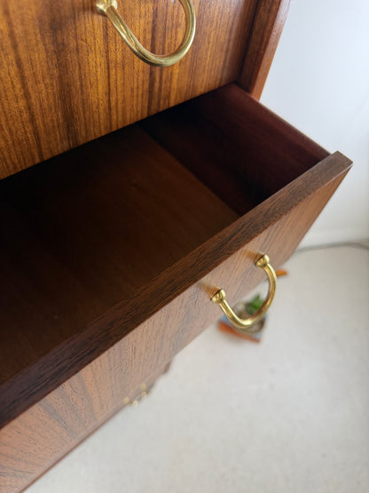 1960s GPLAN TOLA WOOD LIBRENZA TALLBOY BY E GOMME