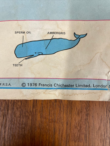 VINTAGE WHALES EDUCATIONAL POSTER