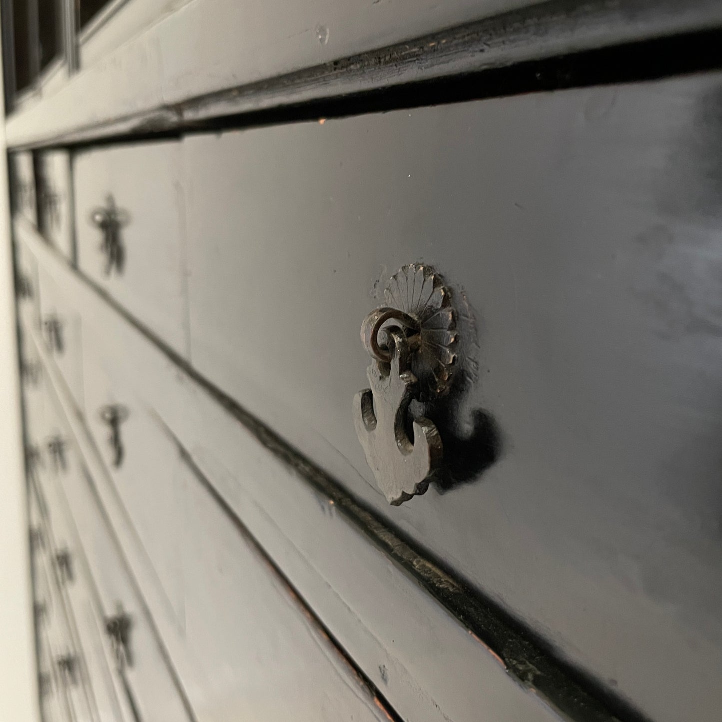 EBONISED CHINESE APOTHECARY CABINET WITH GLAZED DOORS