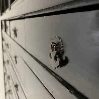 EBONISED CHINESE APOTHECARY CABINET WITH GLAZED DOORS