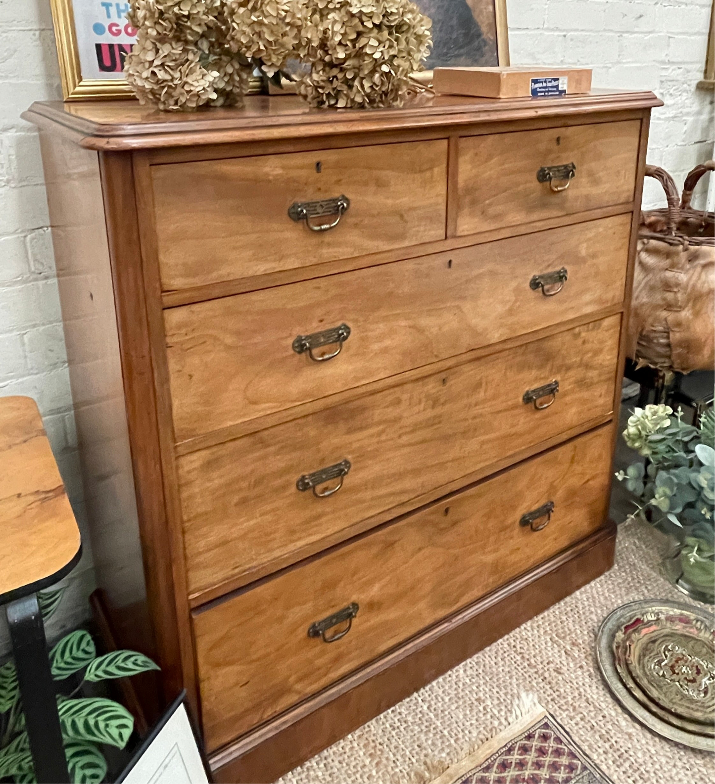 ANTIQUE SATINWOOD CHEST OF DRAWERS