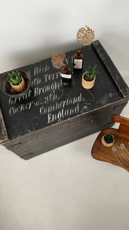 VINTAGE WOODEN TRUNK BLANKET / TOY BOX