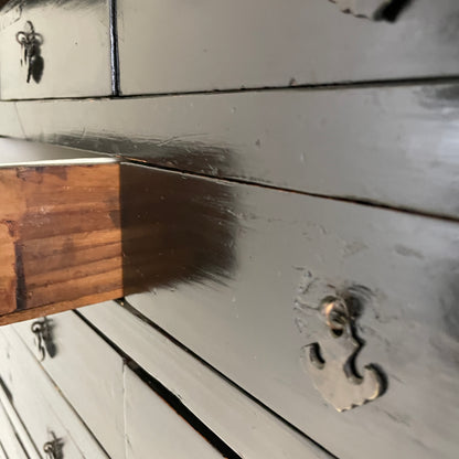 EBONISED CHINESE APOTHECARY CABINET WITH GLAZED DOORS