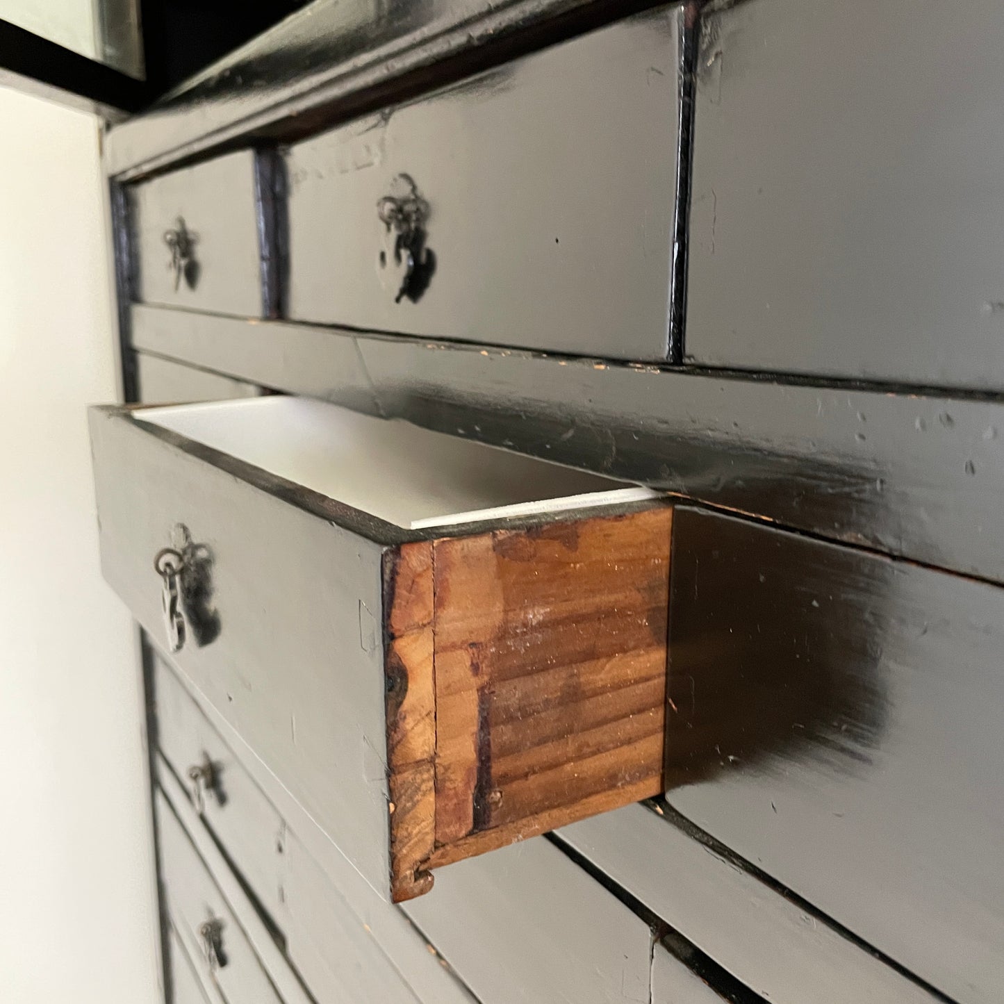 EBONISED CHINESE APOTHECARY CABINET WITH GLAZED DOORS