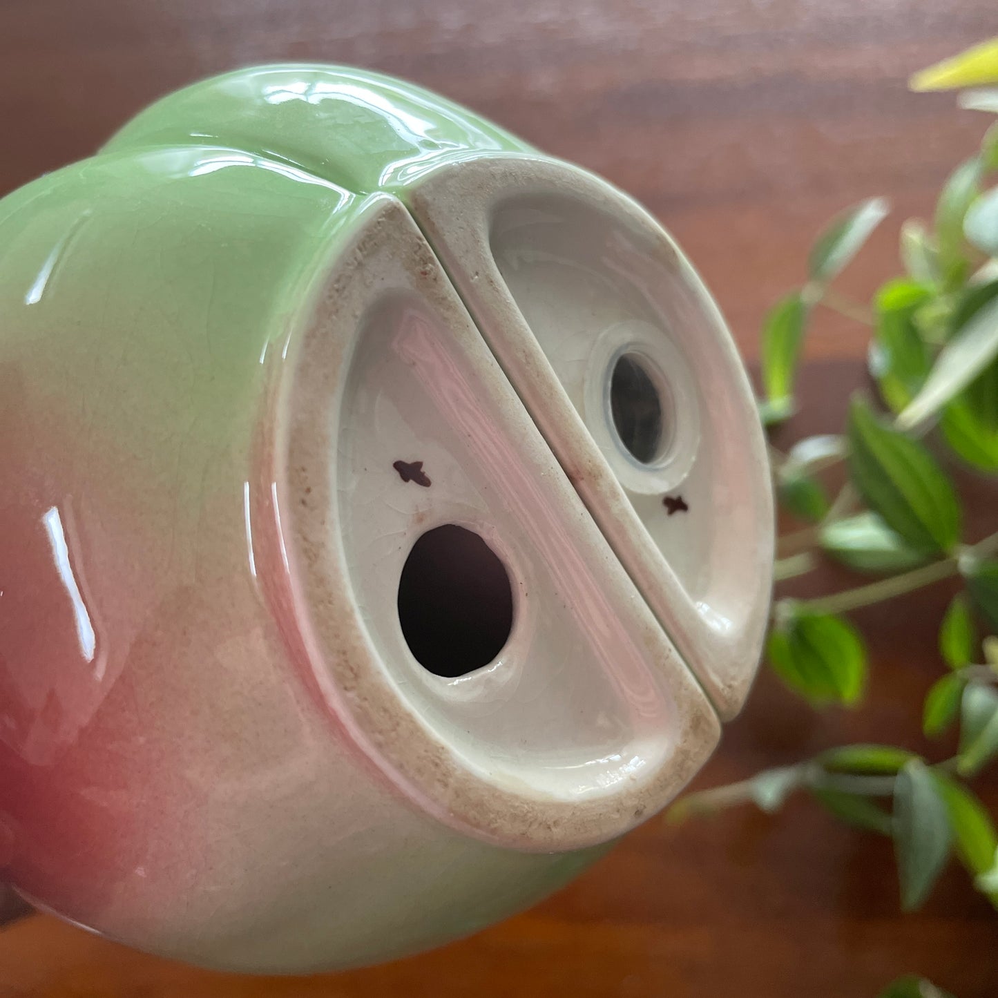 VINTAGE APPLE CARLTON WARE CRUET SET