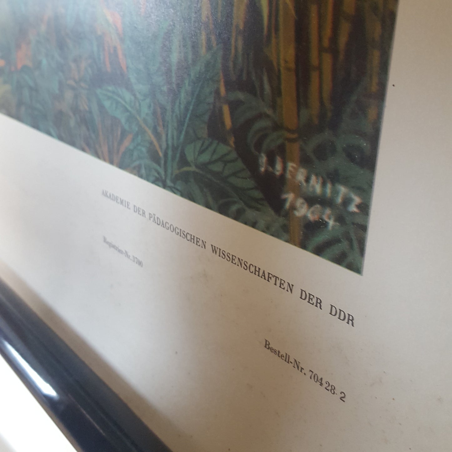 LARGE VINTAGE CLASSROOM WALL HANGING OF THE TROPICAL RAINFOREST CONGO